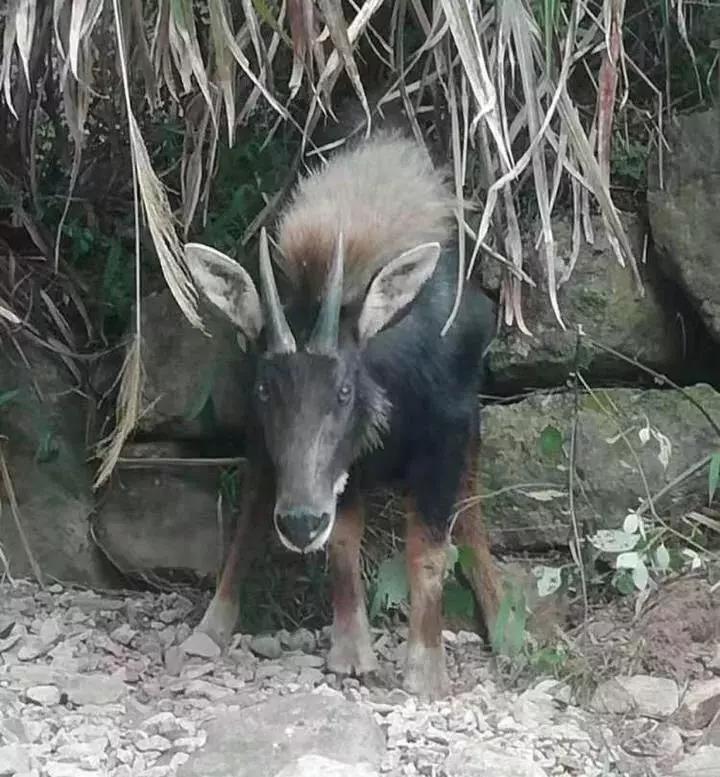 评论 第890页