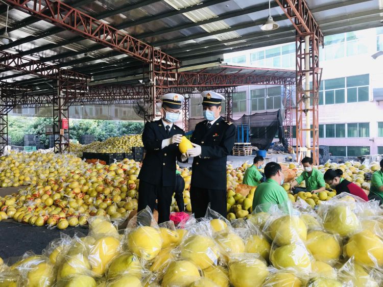 广东省进口水果管理，保障质量与安全，促进贸易发展