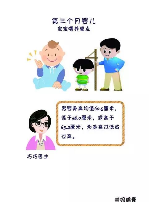 关于八个月的宝宝，成长发育的标准与关注重点