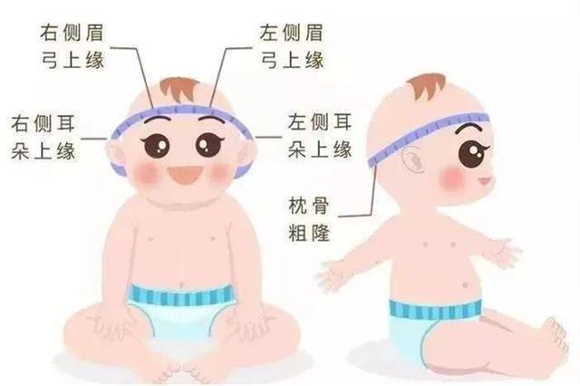 婴儿头围发展，从初生至十二个月的关键变化