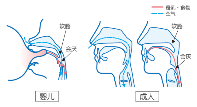 婴儿成长之路，几个月内形成雏形