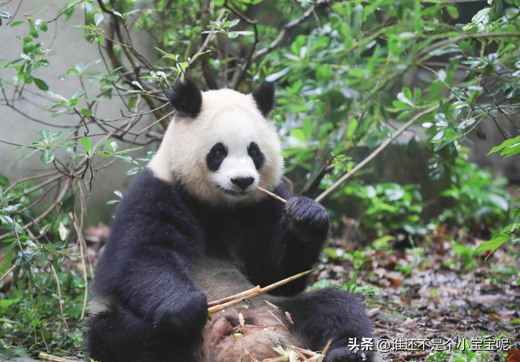 广东润谷食品有限公司，食品行业的卓越典范