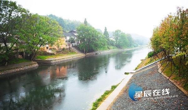 广东省村级监督平台，构建村级治理的新模式