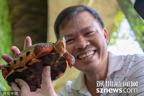 广东省资产管理信息系统的构建与发展