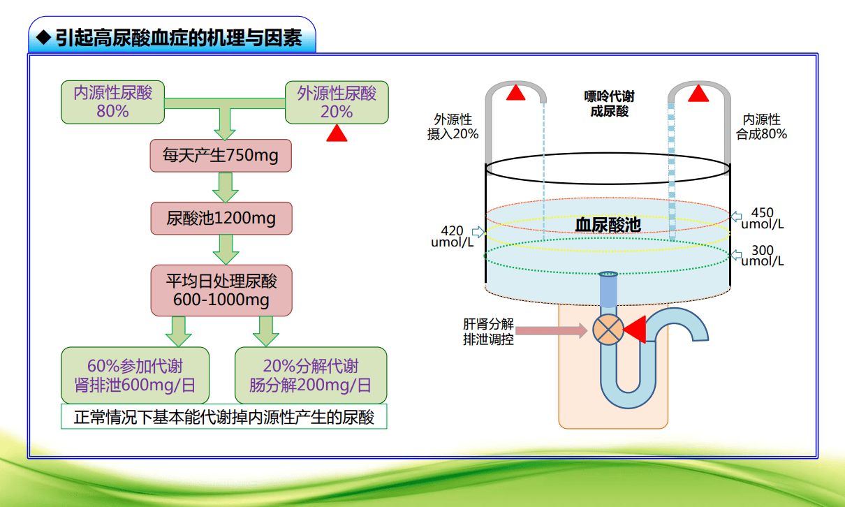 广东省考尿酸，认识、预防与管理尿酸过高问题