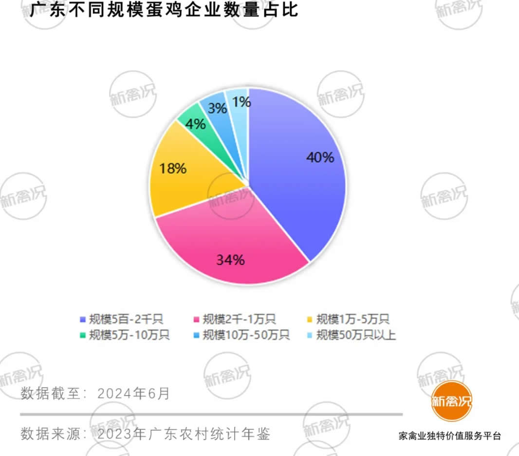 广东省鸡肉销量，繁荣背后的市场洞察