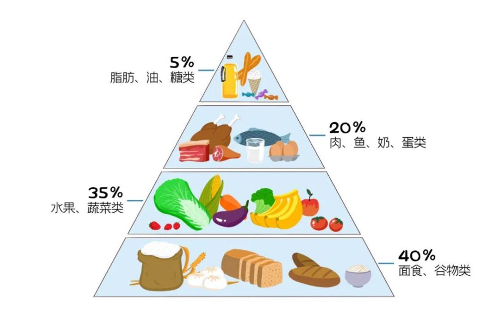 广东省舞蹈统考文化分的重要性及其影响