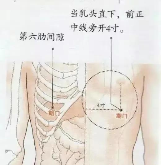 广东顺特电气有限公司，卓越品质，创新未来