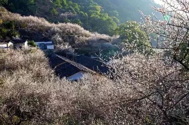 广东省揭阳市渔湖镇，历史底蕴与现代风采的交融之地