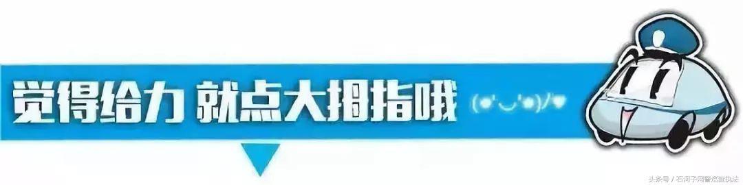 江苏较真科技，引领科技创新的先锋力量